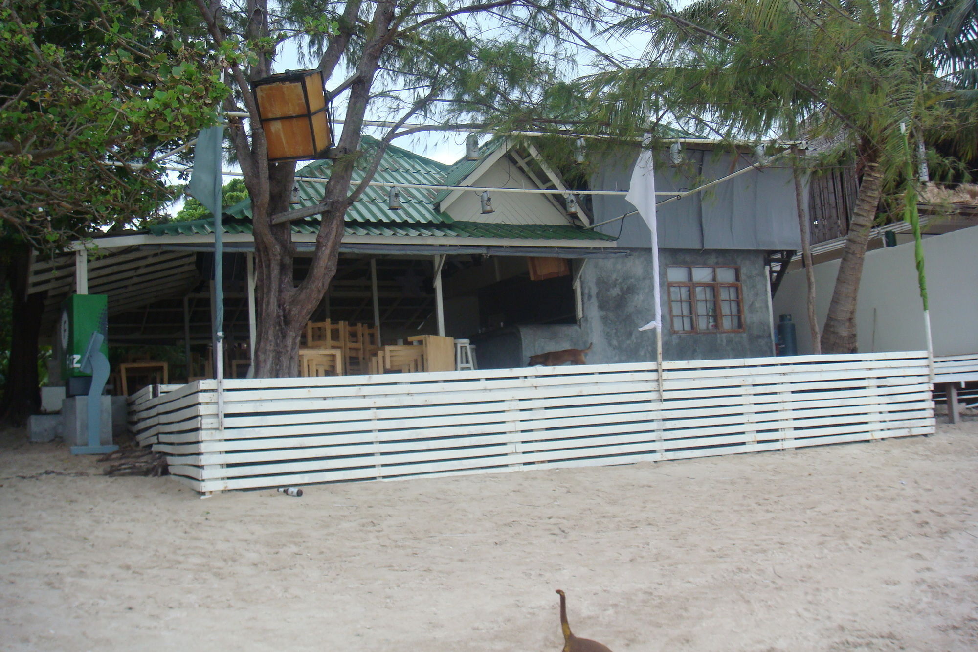 Silver Sands Beach Resort Koh Tao Exterior photo